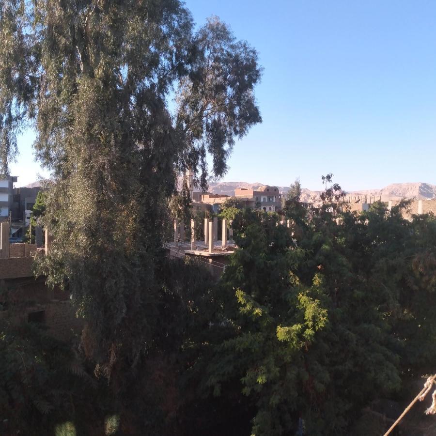 Ali Habou Apartment Luxor Exterior photo